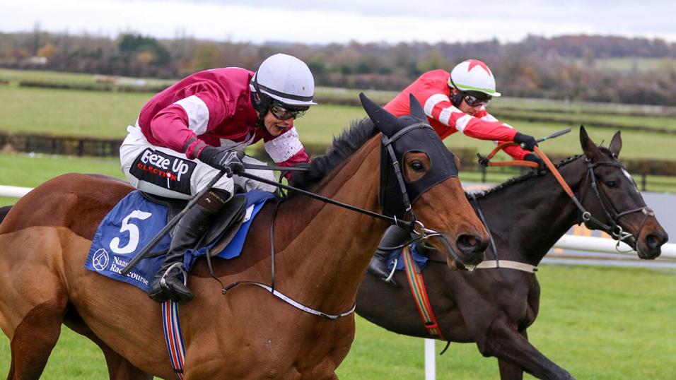 racehorse Embittered